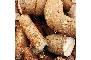 Cassava Perennial Ornamental Cassava Leaf Seeds, 5PCS Cassava Leaf Seeds by YEGAOL Garden