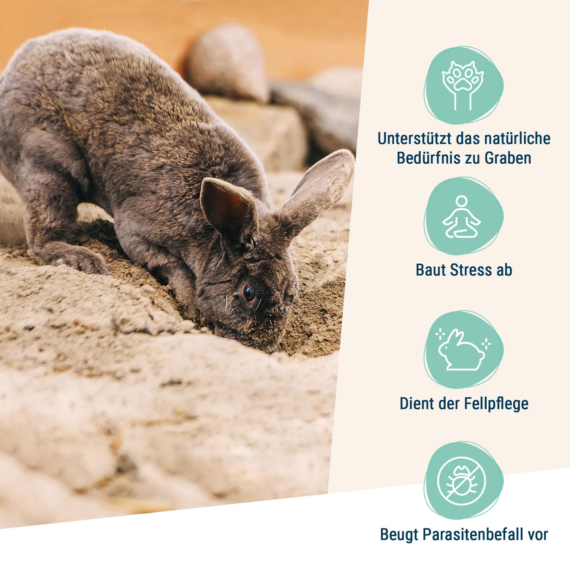 Schicker Mineral Kaninchen Buddelsand 25 kg, für Kaninchen & Hasen, kantengerundet für Sensible Pfoten, Naturprodukt aus Deutschland, lehmfrei, frei von Verunreinigungen & chemischen Zusätzen