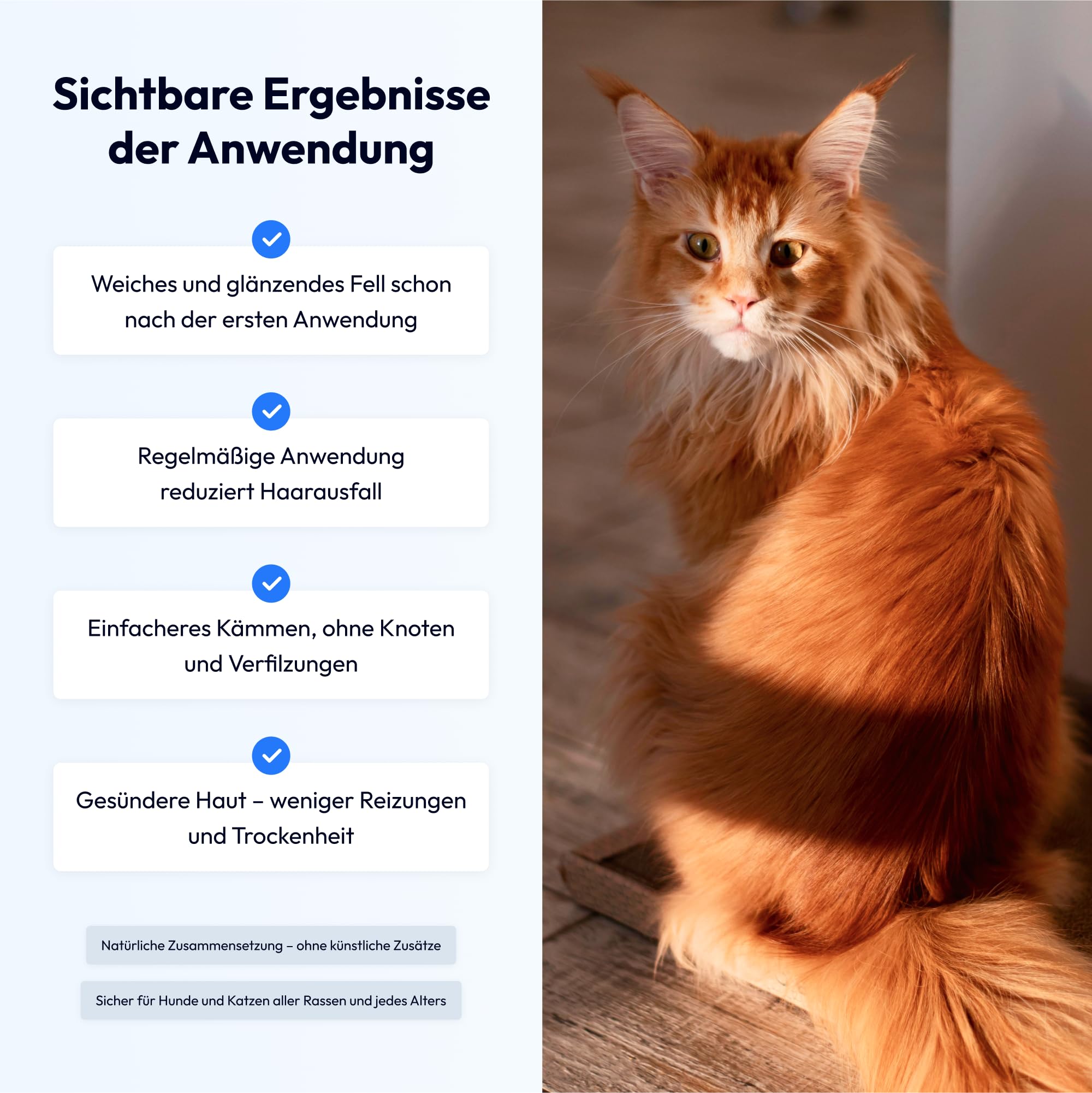 2in1 Hundeshampoo & Conditioner – Natürlich & pH-neutral – Für glänzendes Fell, leichte Kämmbarkeit & sanfte Pflege – Mit Aloe Vera, Mandelöl & Provitamin B5 – 250 ml