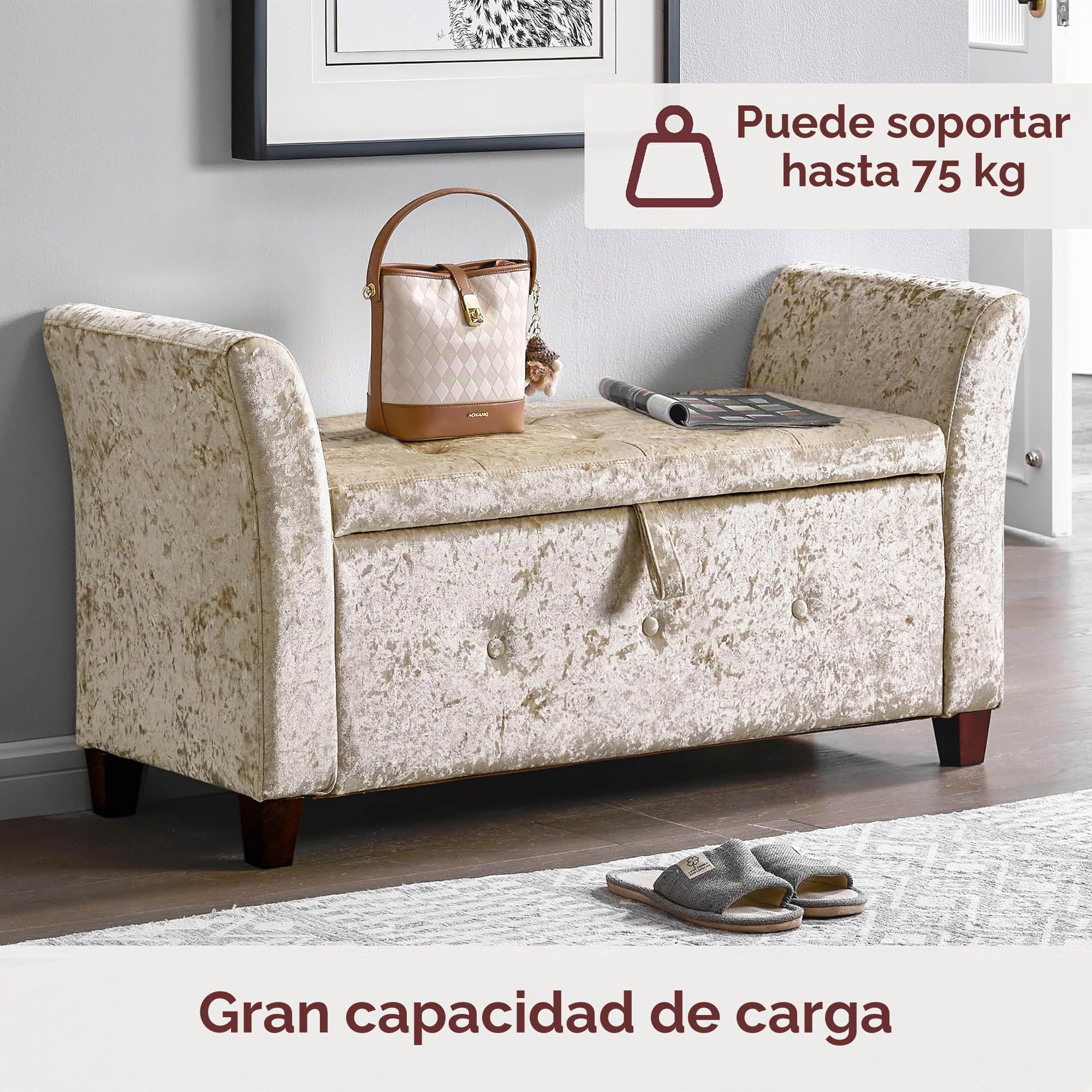 Vida Designs Seville - Otomana de Almacenamiento, baúl de Tela con Tapa, Asiento, Taburete, Banco de Ventana, baúl, Caja de Almacenamiento de Juguetes, Puff, reposapiés, Terciopelo champán