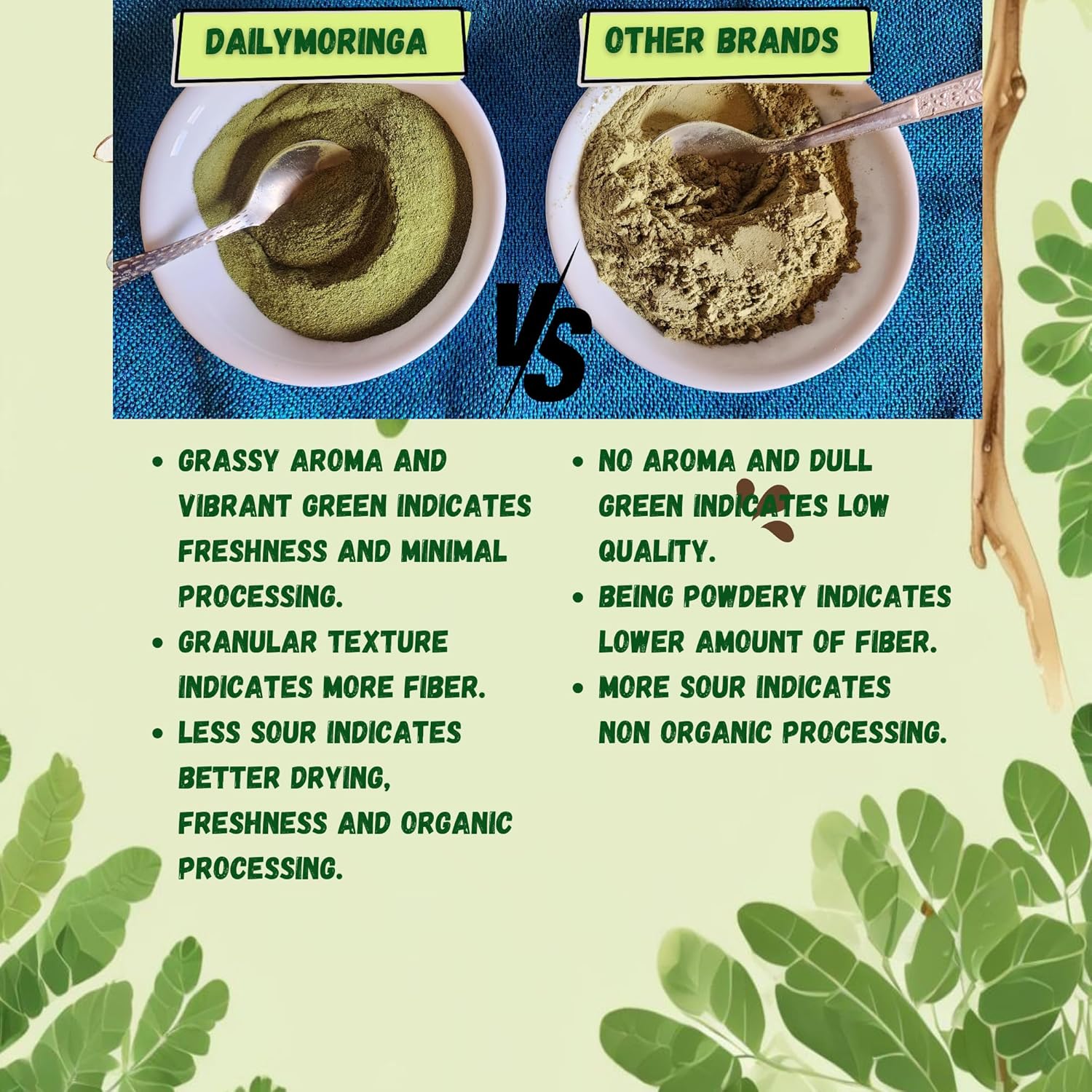 DailyMoringa Moringa powder (250 g) - Organic superfood for energy, immunity and healthy lifestyle