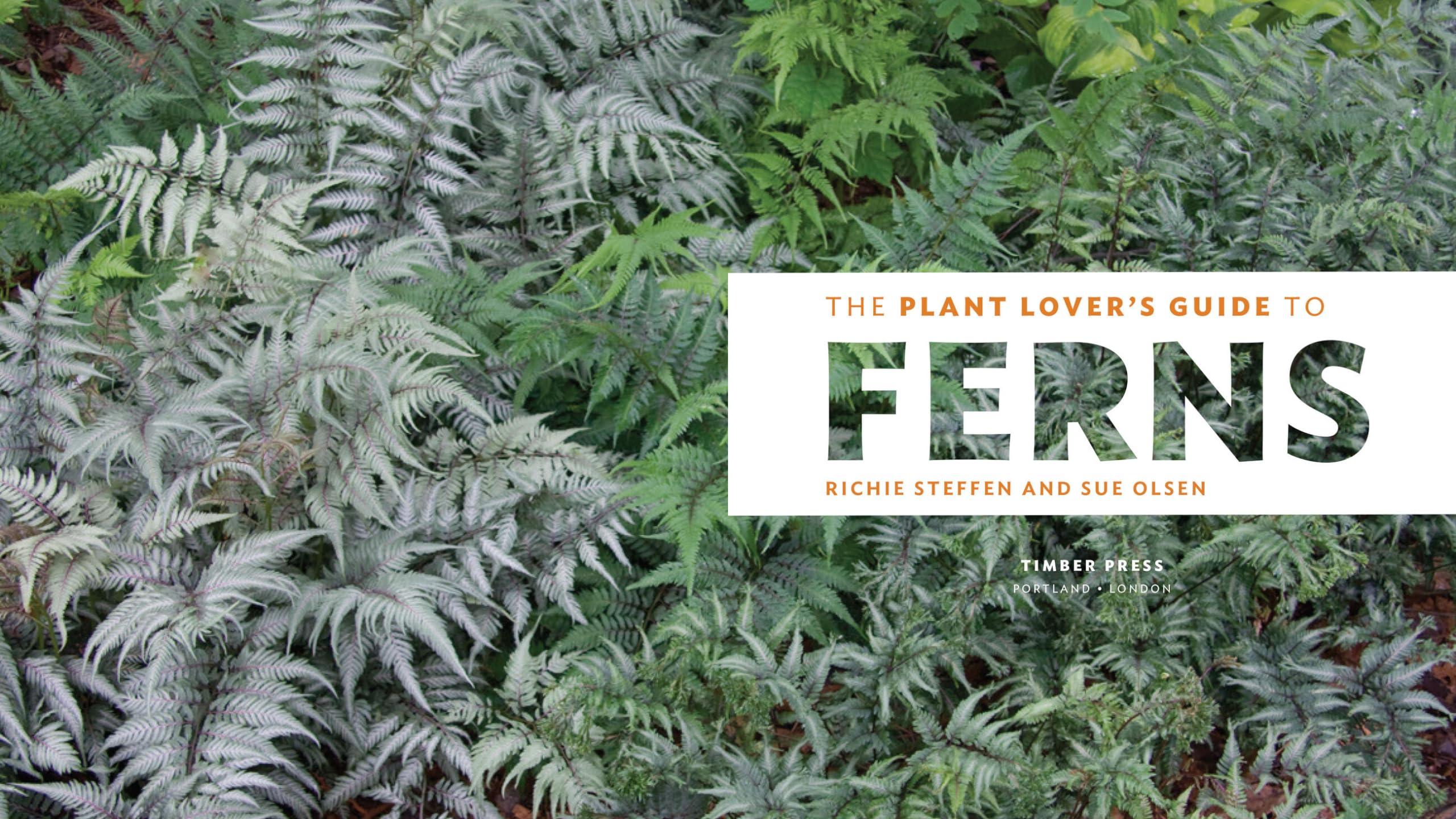The Plant Lover's Guide to Ferns