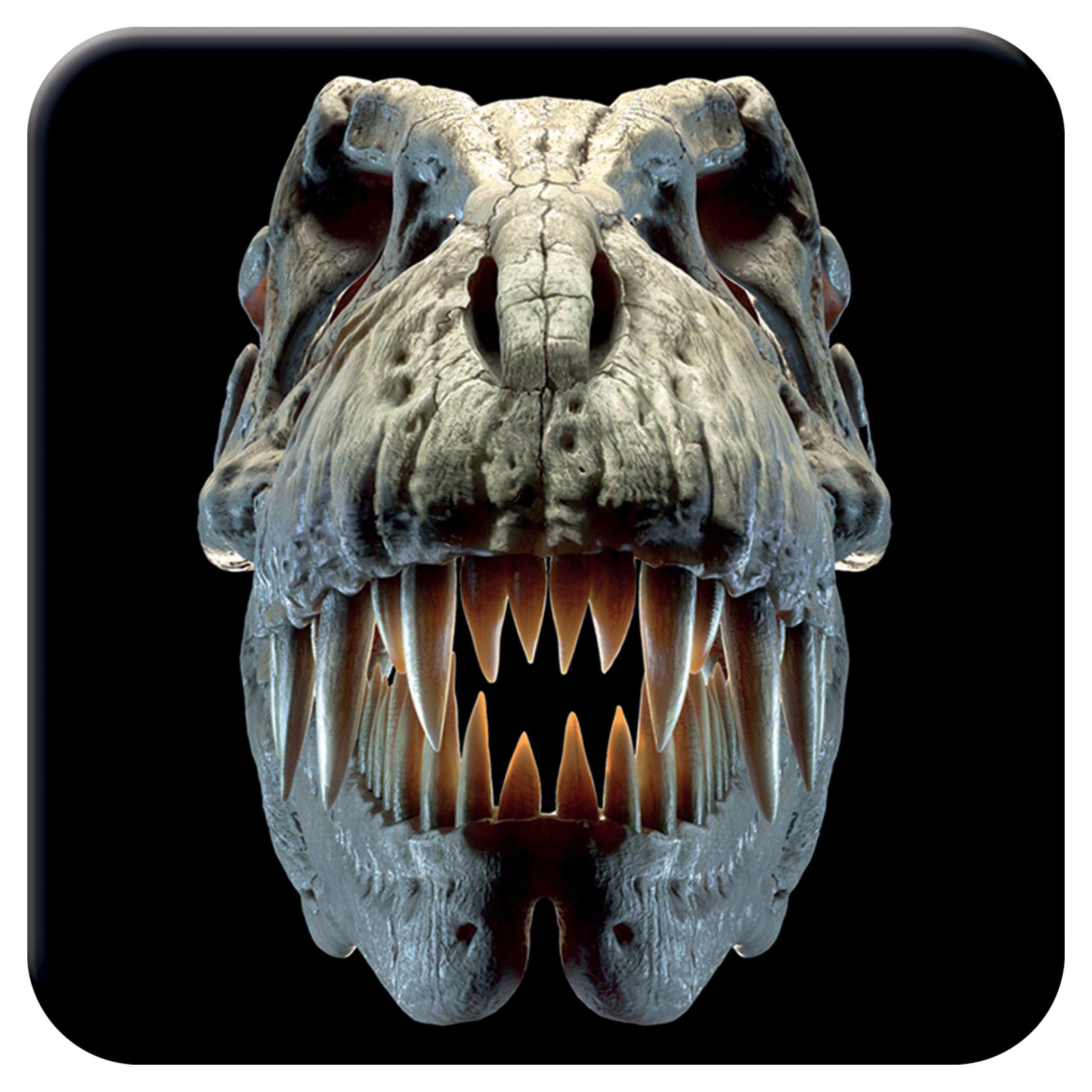 3D Livelife Women's T-Rex Skull Cork Coaster - From Deluxebase. Lenticular Dinosaur Drink Coasters. Funny Gifts For And Men. Cute Novelty Kitchen Gift Ideas And Decorative Home Accessories