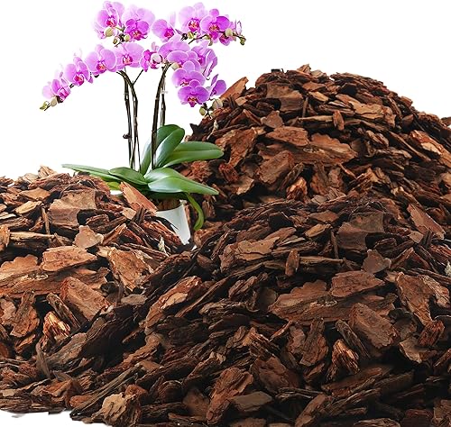Vista 35 de AVALUTION Corteza para macetas de orquídeas: corteza de orquídea orgánica de 9 cuartos para plantas, todos los chips de madera de corteza de pino