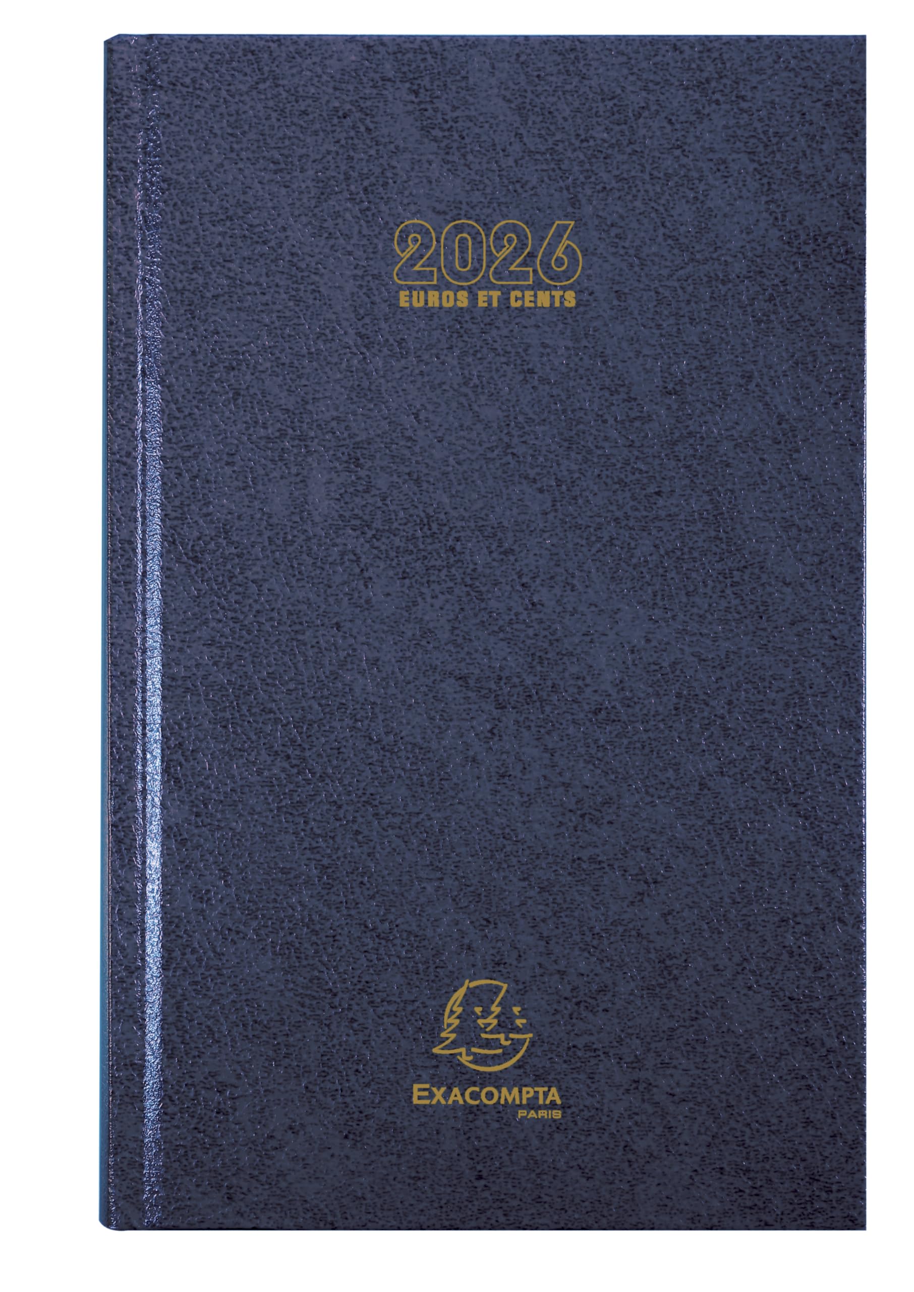 Exacompta - 38172E - Euro and Cents Square Daily Desk Diary - 13.5 x 21 cm - January to December 2024 - Assorted Colours