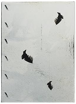 その他 CASSHERN [DVD] wwzq1cm Amazon.co.jp: CASSHERN [DVD] : 伊勢谷友介, 竜の子