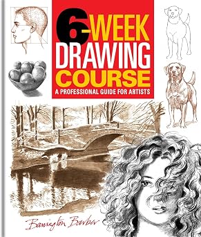 6-Week Drawing Course A Professional Guide for Artists