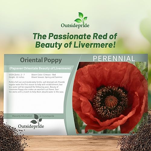 Miniatura 5 de Outsidepride Orientale Beauty of Livermere - Semillas de amapola para plantar, 500 piezas de semillas de flores silvestres perennes, tolerantes a