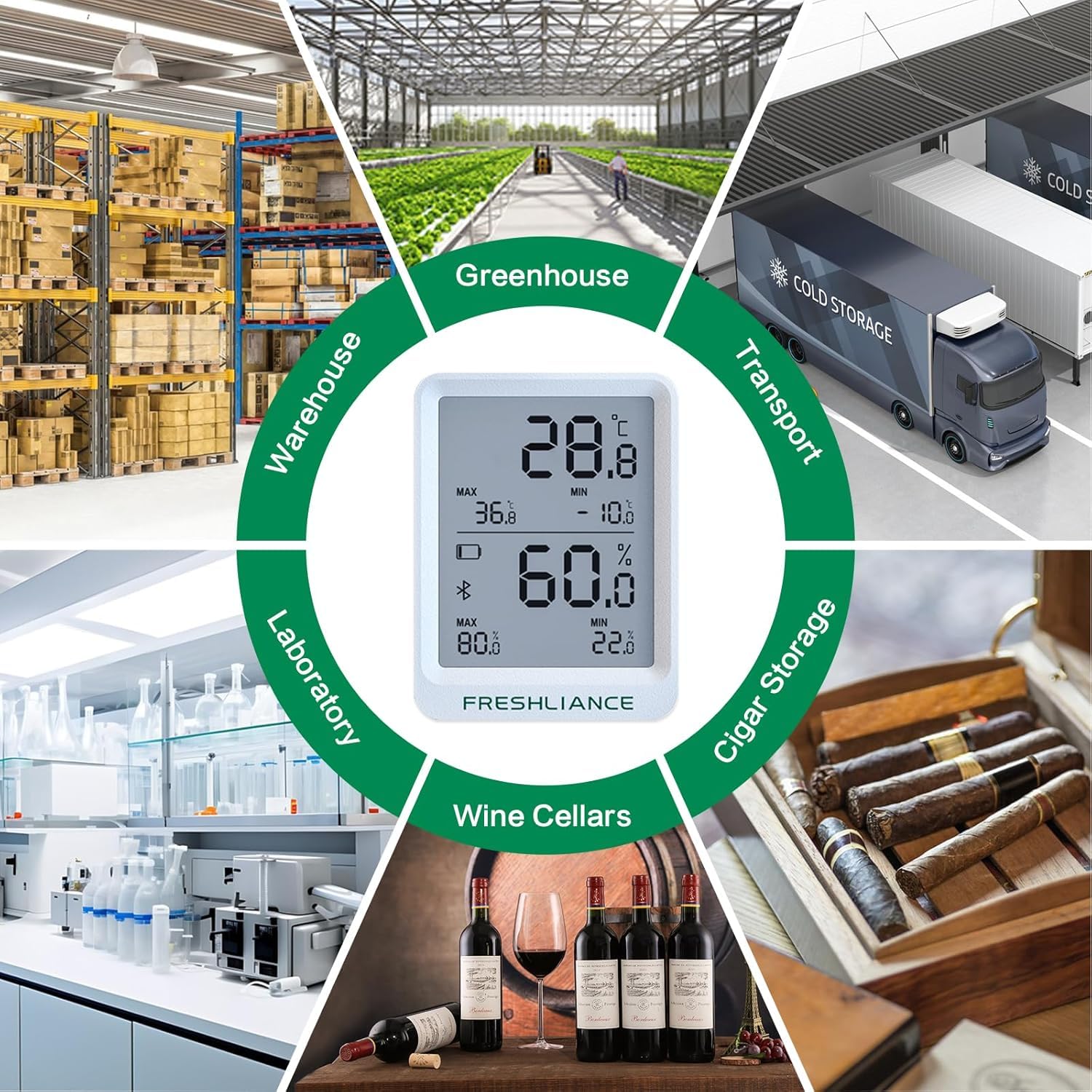 Freshliance - Registrador de datos de temperatura y humedad con Bluetooth, termómetro higrómetro para refrigerador, congelador, higrómetro, sensor digital de temperatura y humedad con análisis de