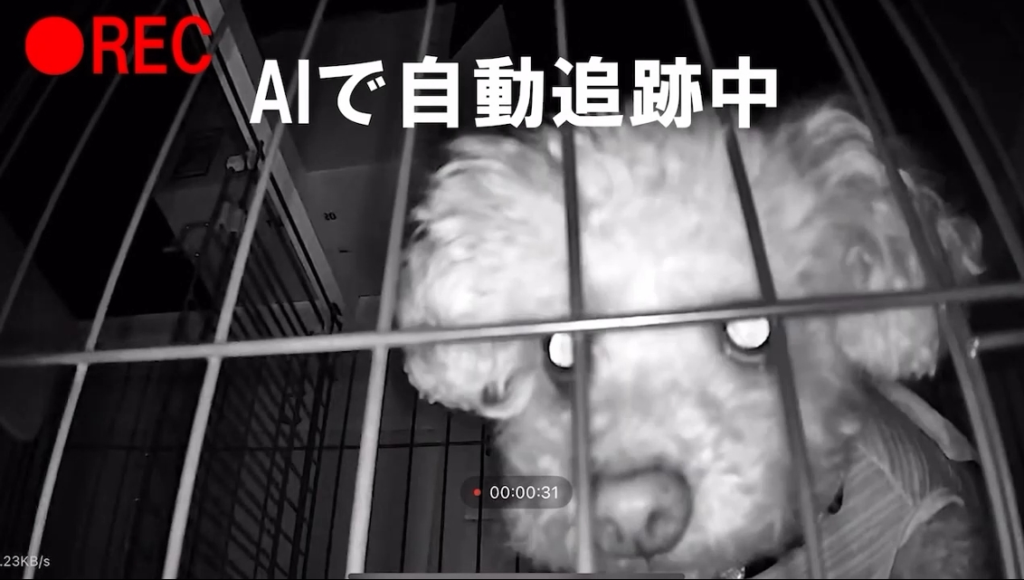 Amazon.co.jp: 【2台セット・フルカラー暗視・300万画素】ペット