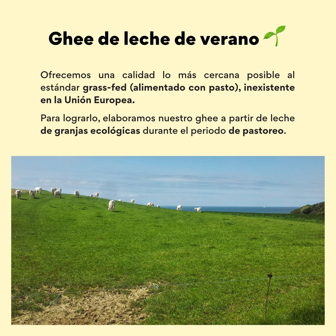 Nutribe Ghee Bio, de verano | Sin lactosa | Freír de manera saludable, Keto y Paleo, 500g