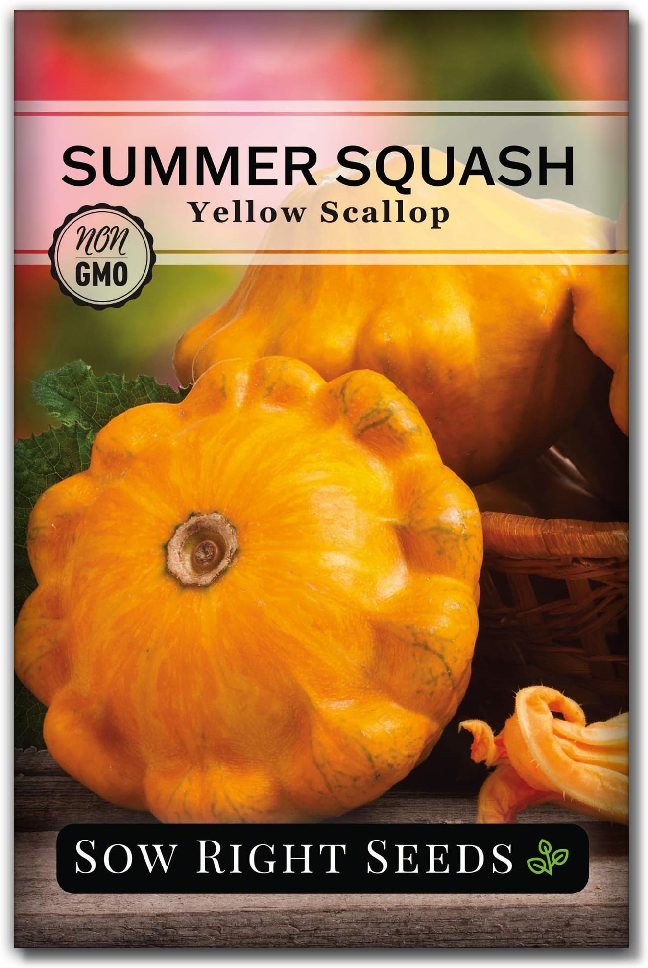 Yellow Scallop Squash Seed for Planting - Non-GMO Heirloom Packet with Instructions to Plant a Home Vegetable Garden, Traditional Summer Variety - Tasty Mini Squash (1)