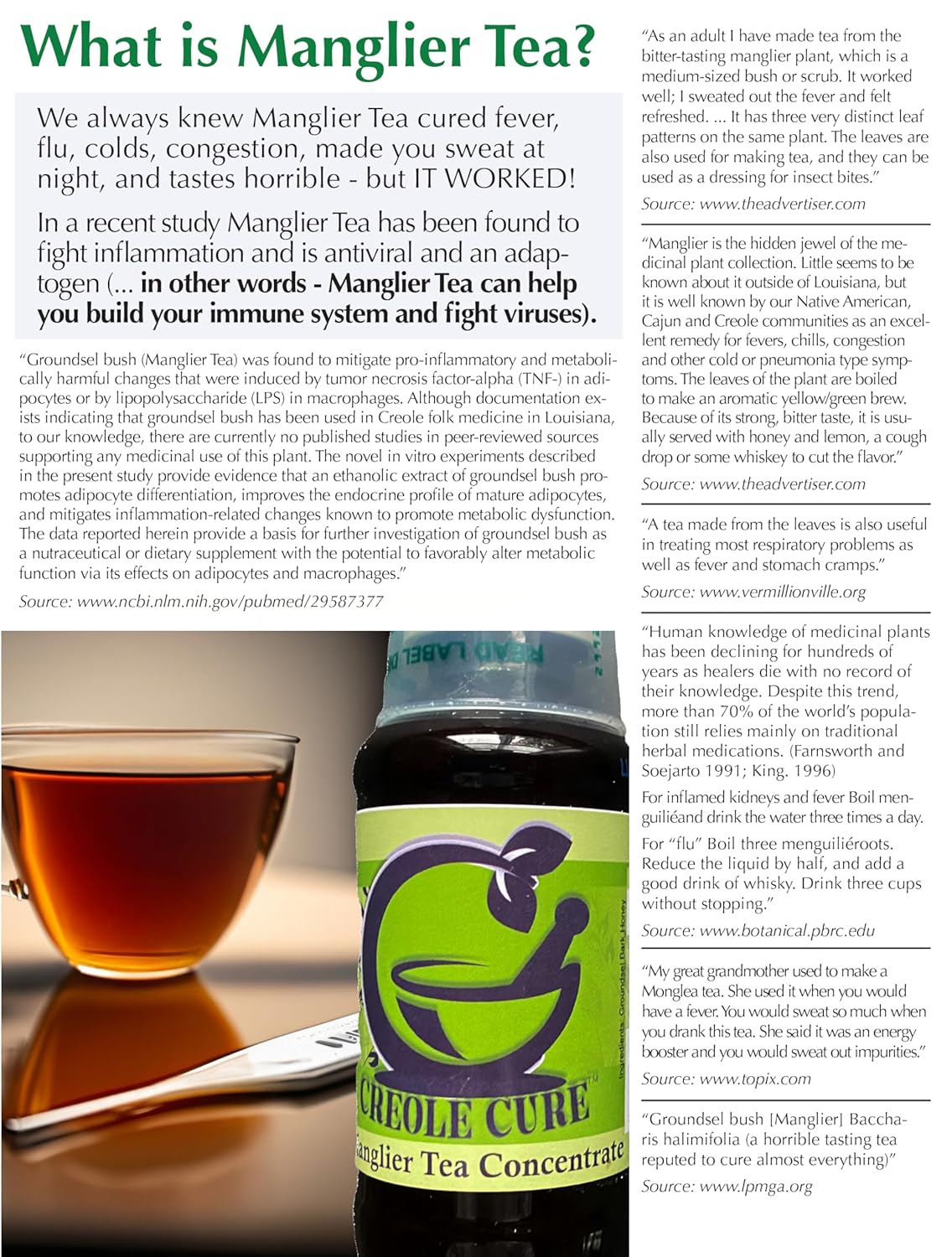 CreoleCure - 100% Organic Manglier Tea - 10 Tea Bags - Wellness Tea made from the groundsel bush.