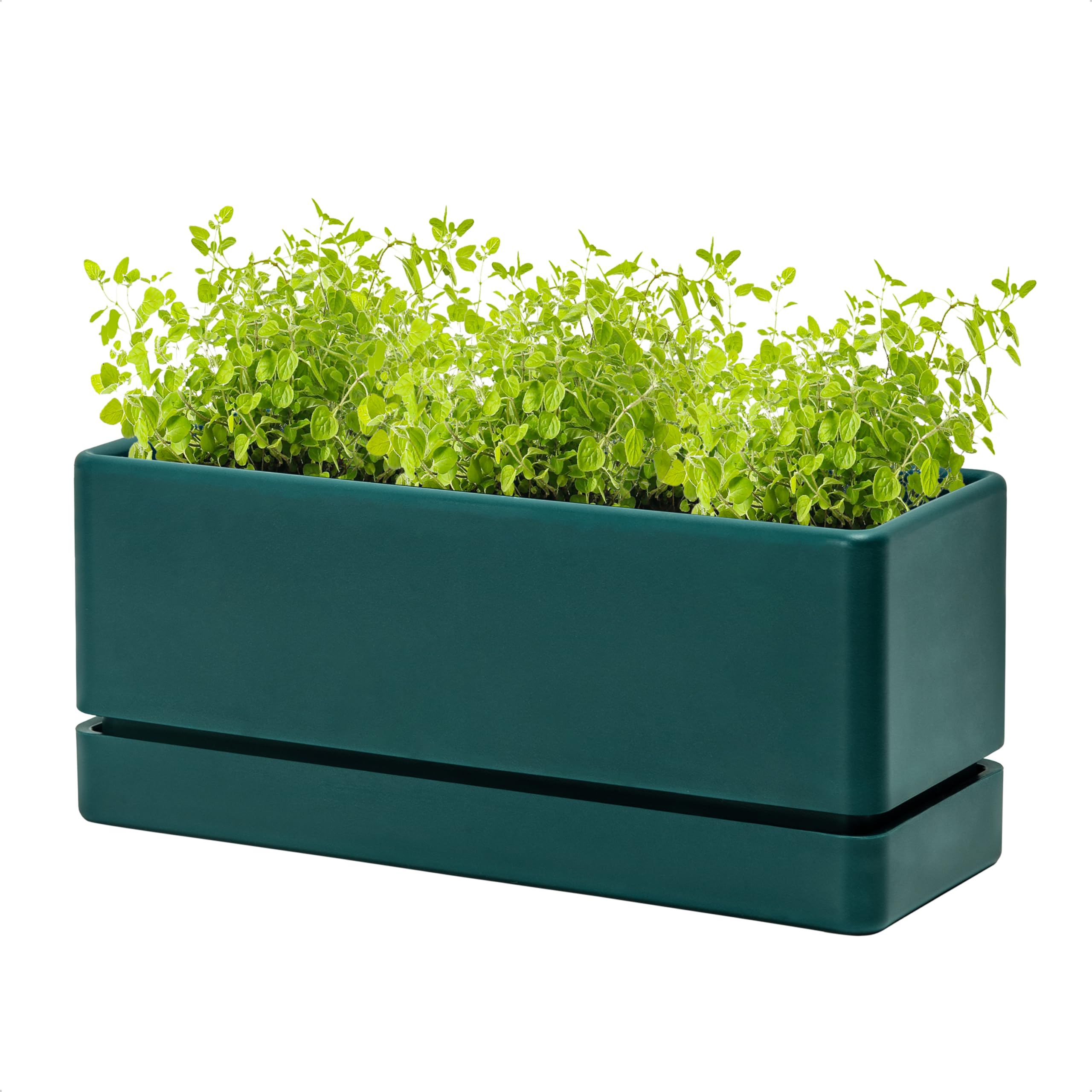 D'vine Dev 12 Inch Window Box Planter Green Plastic