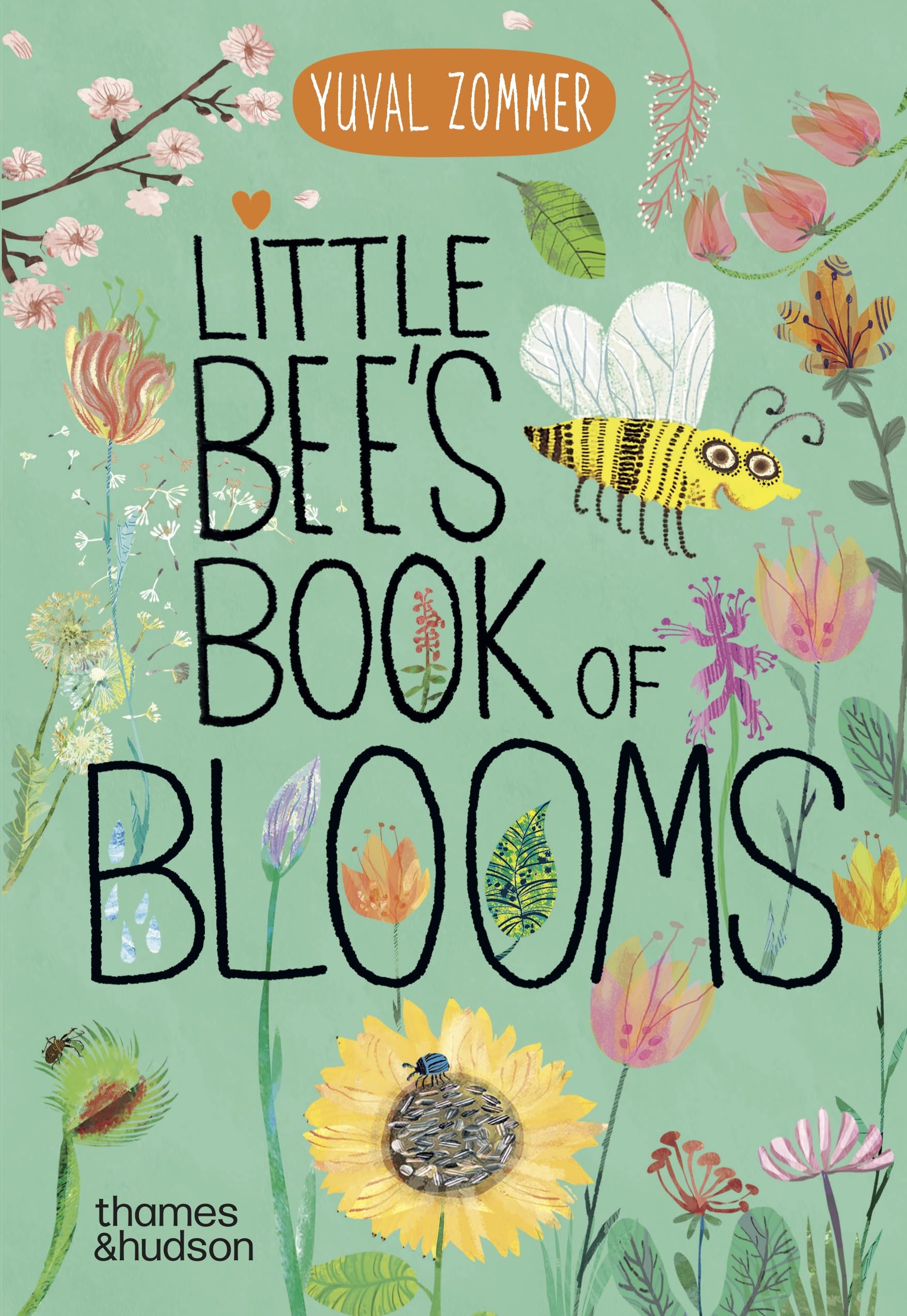 Little Bee's Book of Blooms (The Big Book Series)