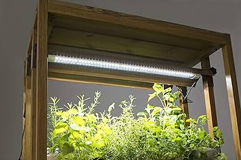 Amazon.co.jp: タカショー(Takasho) 植物育成ライト付 用具棚 グリーン