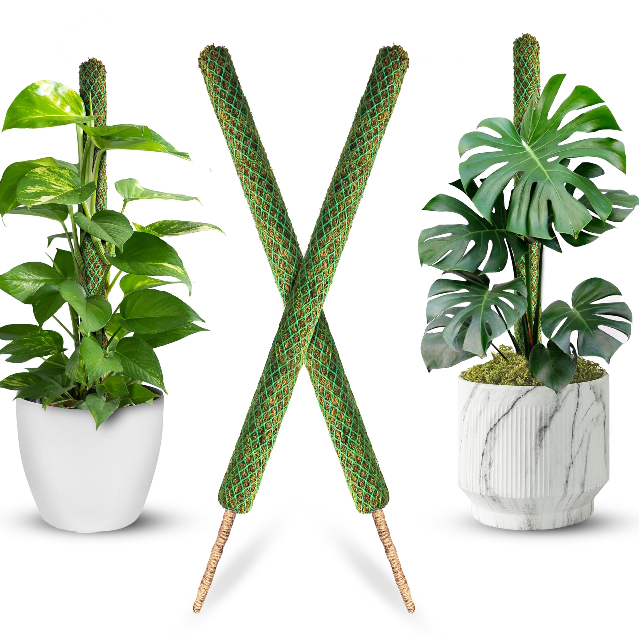 値下げ24:00まで　23-24 MOSS STICK U3 Amazon.com : DUSPRO 2 Pack 17'' Mesh Moss Pole for Climbing Plants