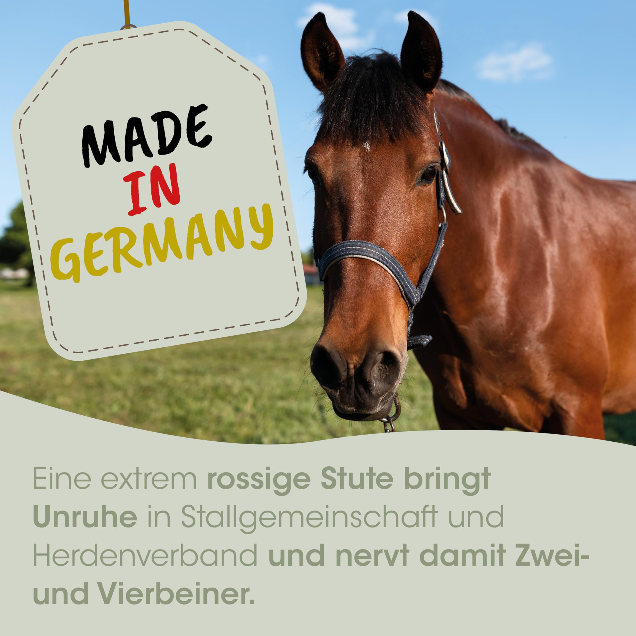cdVet EquiGreen RosseRegulat - Nahrungsergänzung mit Mönchspfeffer zur Unterstützung bei Rossigkeit von Stuten, 1 Stück (1er Pack)