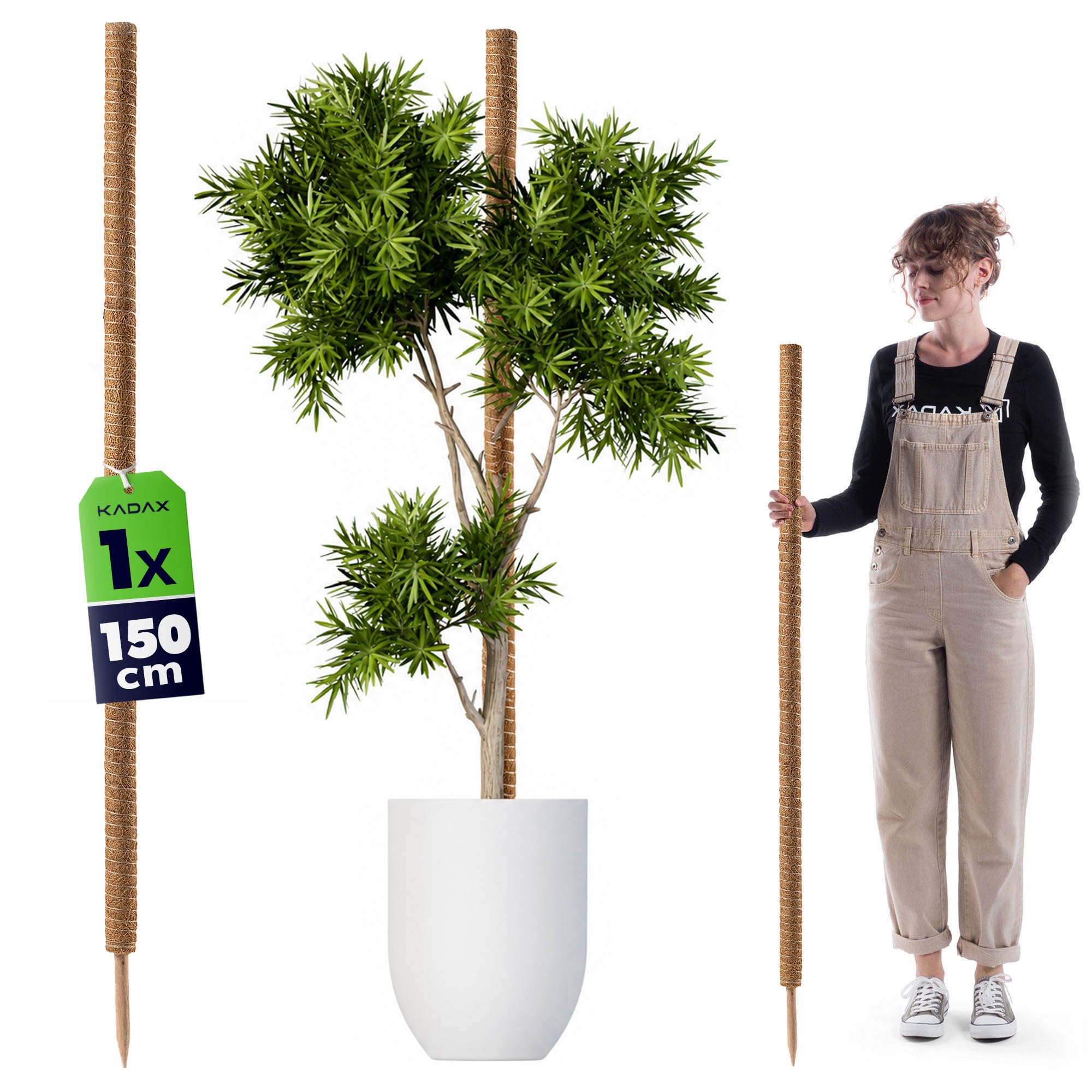 KADAX Monstera Tutor - Tutor in fibra di cocco (150 cm), asta di cocco e bastoncino di schiuma per piante da interno, aiuto per arrampicata e supporto per piante da interno ed esterno
