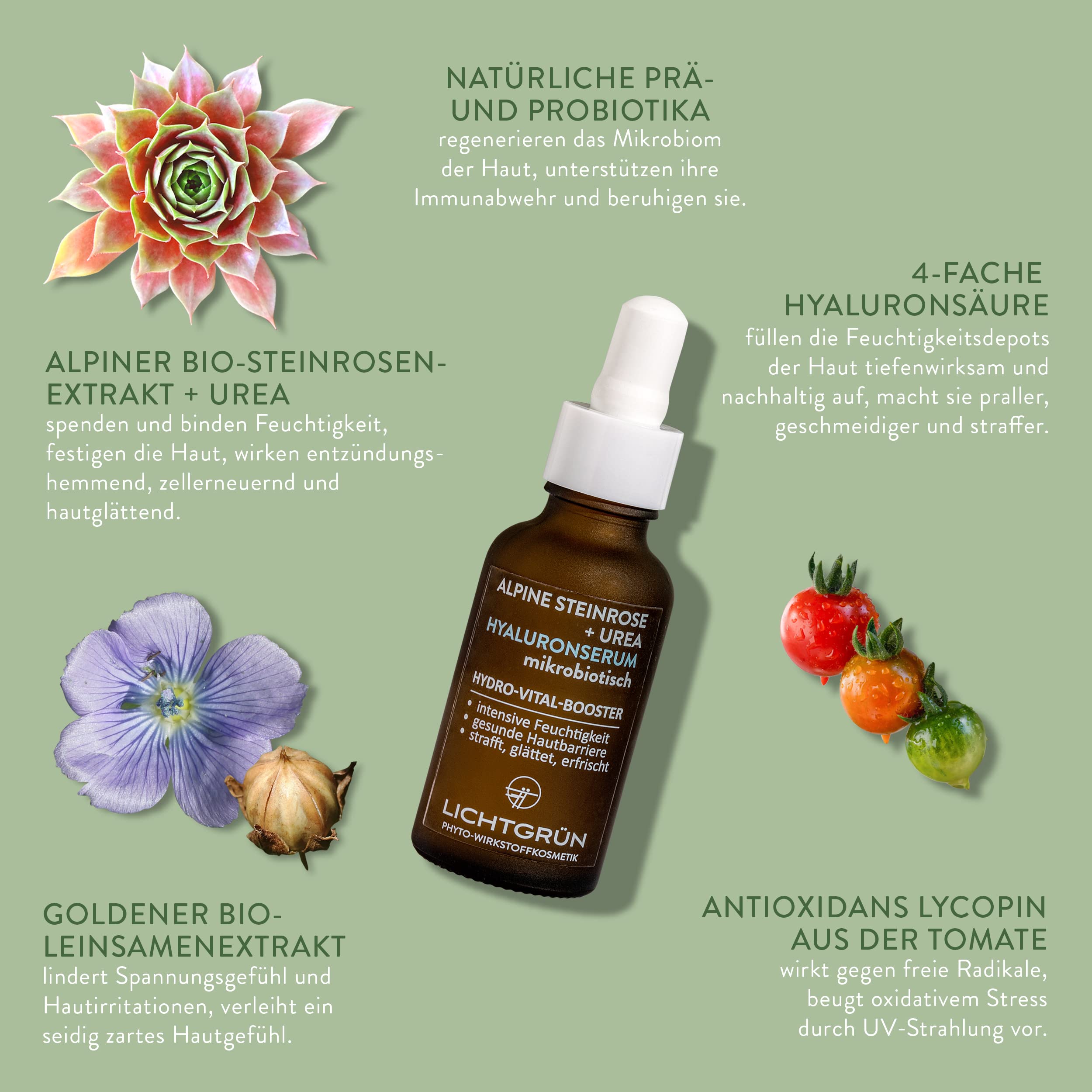 Set Hydro-Vital-Boost, Hyaluronserum 30 ml und Feuchtigkeitscreme 50 ml, Gesichtspflege mit Hyaluron, Bio-Steinrose und Bio-Leinöl, für feuchtigkeitsarme Haut, vegan, Made in Germany