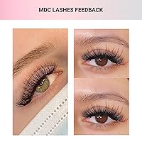 Vista 18 de 500 Promades Eyelash Fans 5D-20D, 0.03-0.05-0.07 Thickness, C/CC/D Curls, 8-18mm Volume Lash Extensions Premade Lash Fans Pro Pre Made False