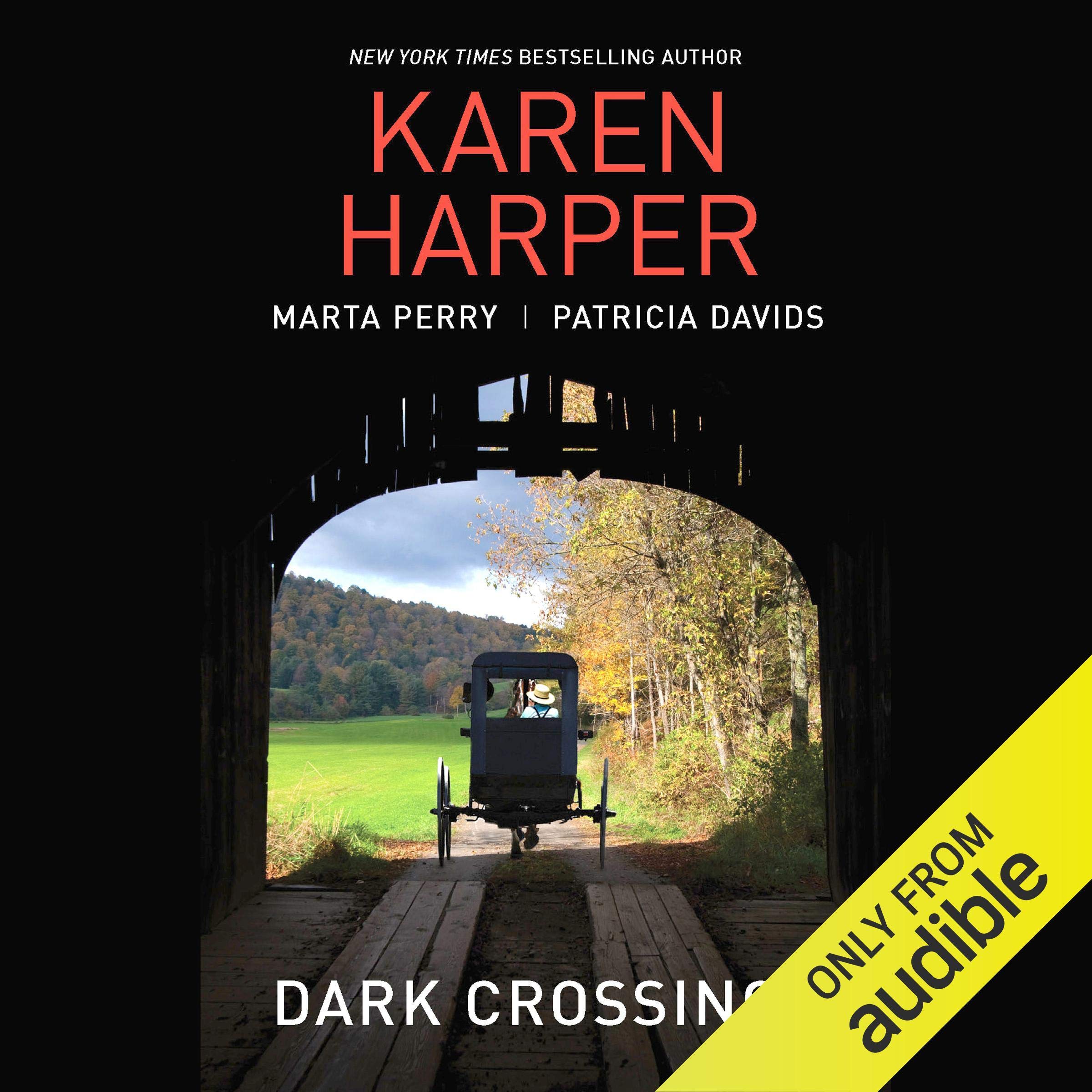 Cover art for Dark Crossings