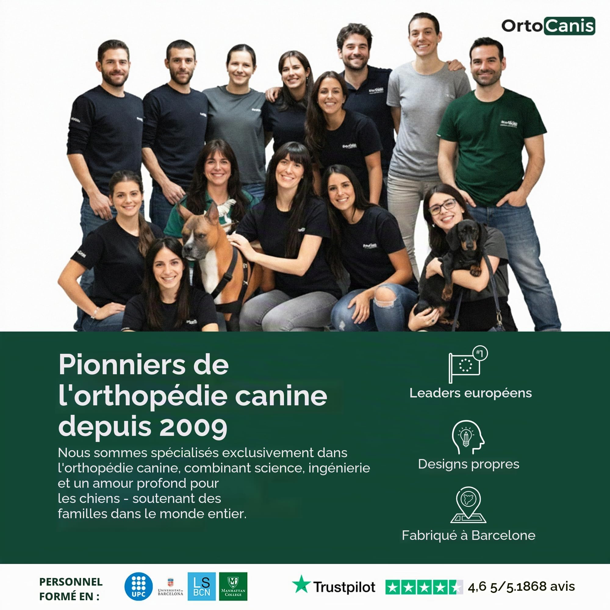 Ortocanis - Attelle Chien - Immobilisateur Genou pour Blessure - Rupture Ligament - Luxation Rotule - Patte Gauche - Taille L