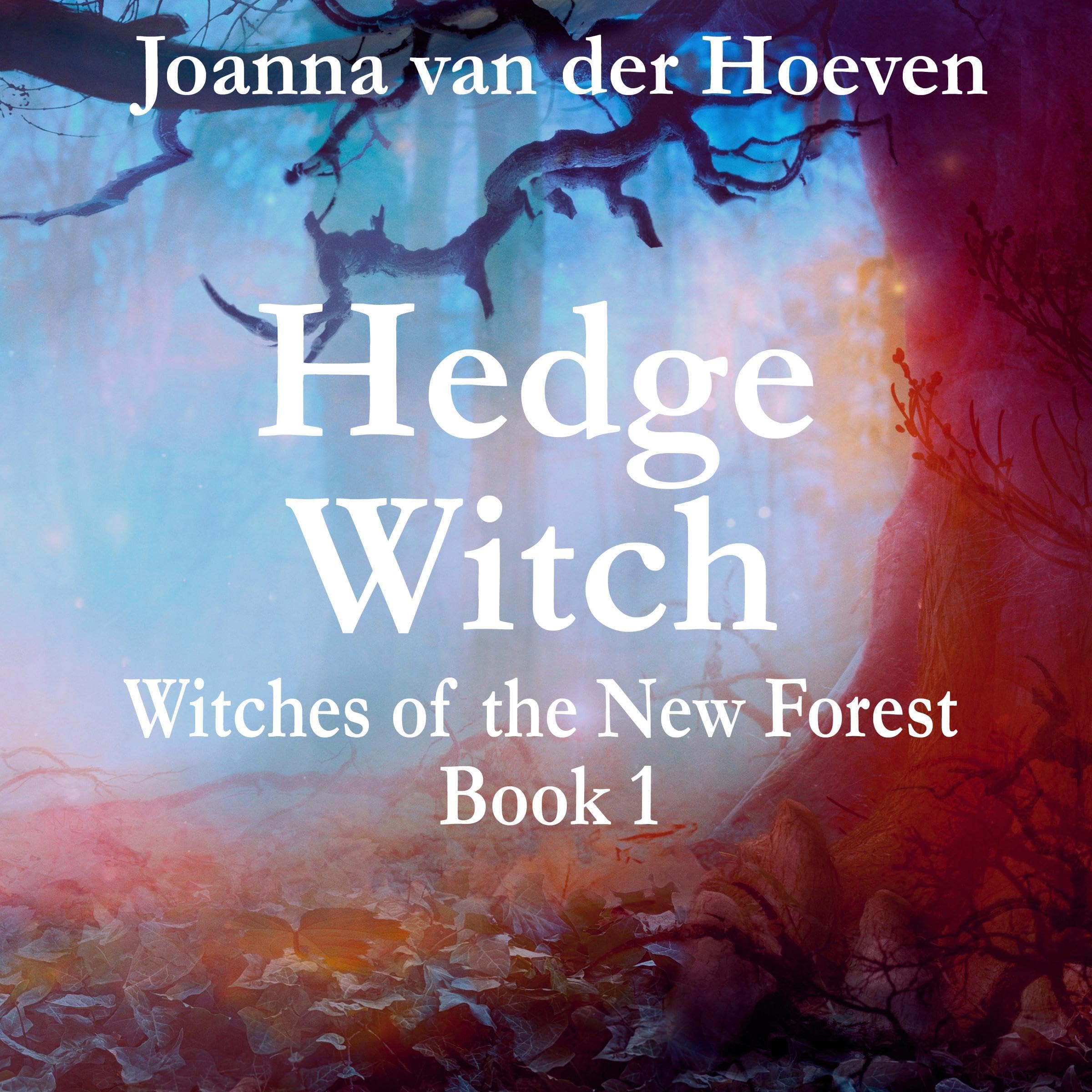 Cover art for Hedge Witch