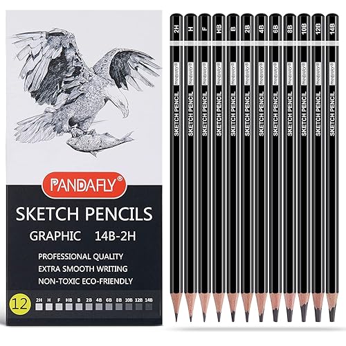PANDAFLY Professional Drawing Sketching Pencil Set - 12 Pieces Graphite Pencils(14B - 2H), Ideal for Drawing Art, Sketching, Shading, Artist Pencils for Beginners & Pro Artists - 12