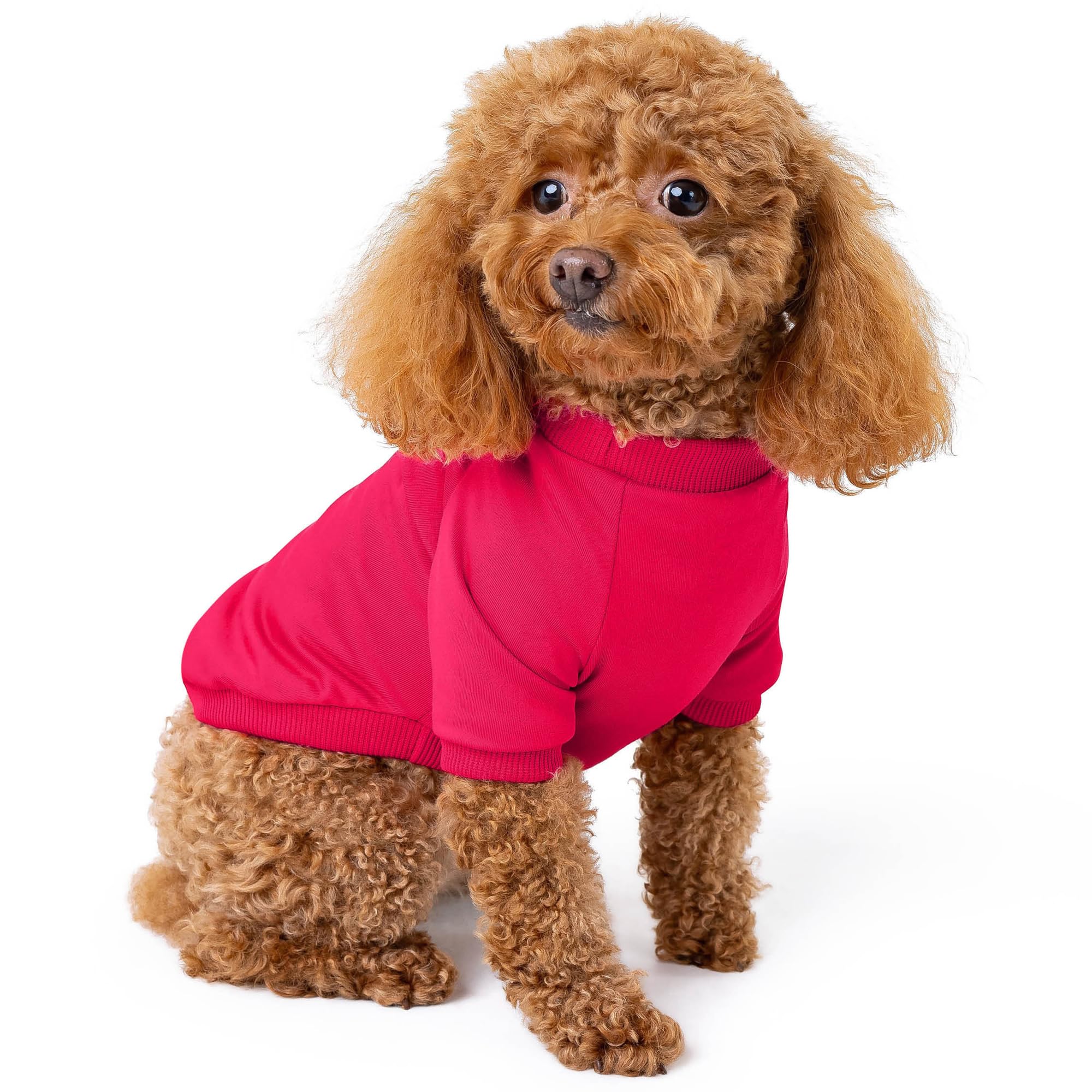 Rocky Thermal Jacket Clothes Fleece Lined Sweater for Dogs, Puppies, Warm Coat Bodysuit Onesie One Piece Vest Pet Jammies with Leg Warmers for Small,