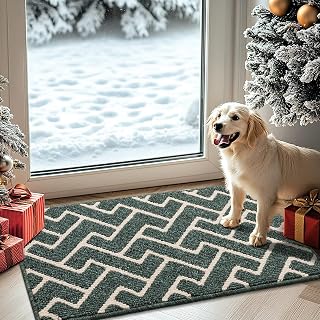 Biscpro Indoor Door Mats,50x80cm Door Mat Non Slip Backing,D