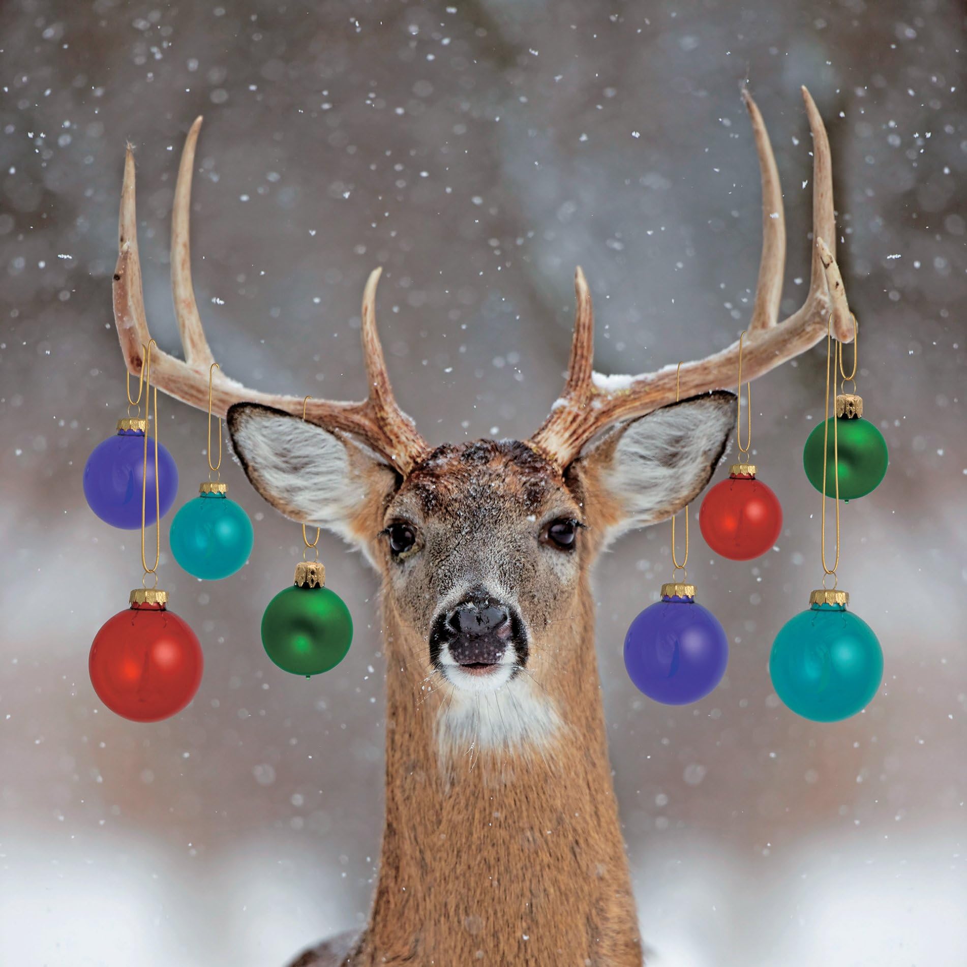 Almanac Charity Christmas Cards - Decorated Reindeer - 8 Charity Cards Sold in Support of The Stroke Association