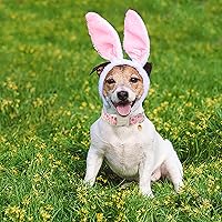 Vista 204 de Aring Pet Collar de algodón, ligero y ajustable, con hebilla de liberación rápida para perros pequeños, medianos y grandes, para cachorros, XS