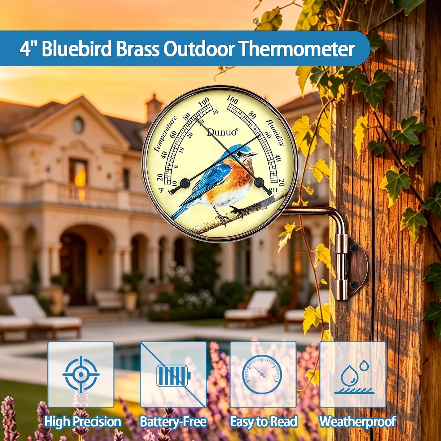 4" Outdoor Thermometer & Humidity Gauge, Brass Bluebird Dial