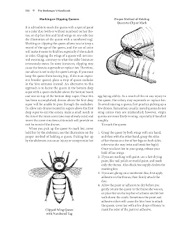 The Beekeeper's Handbook