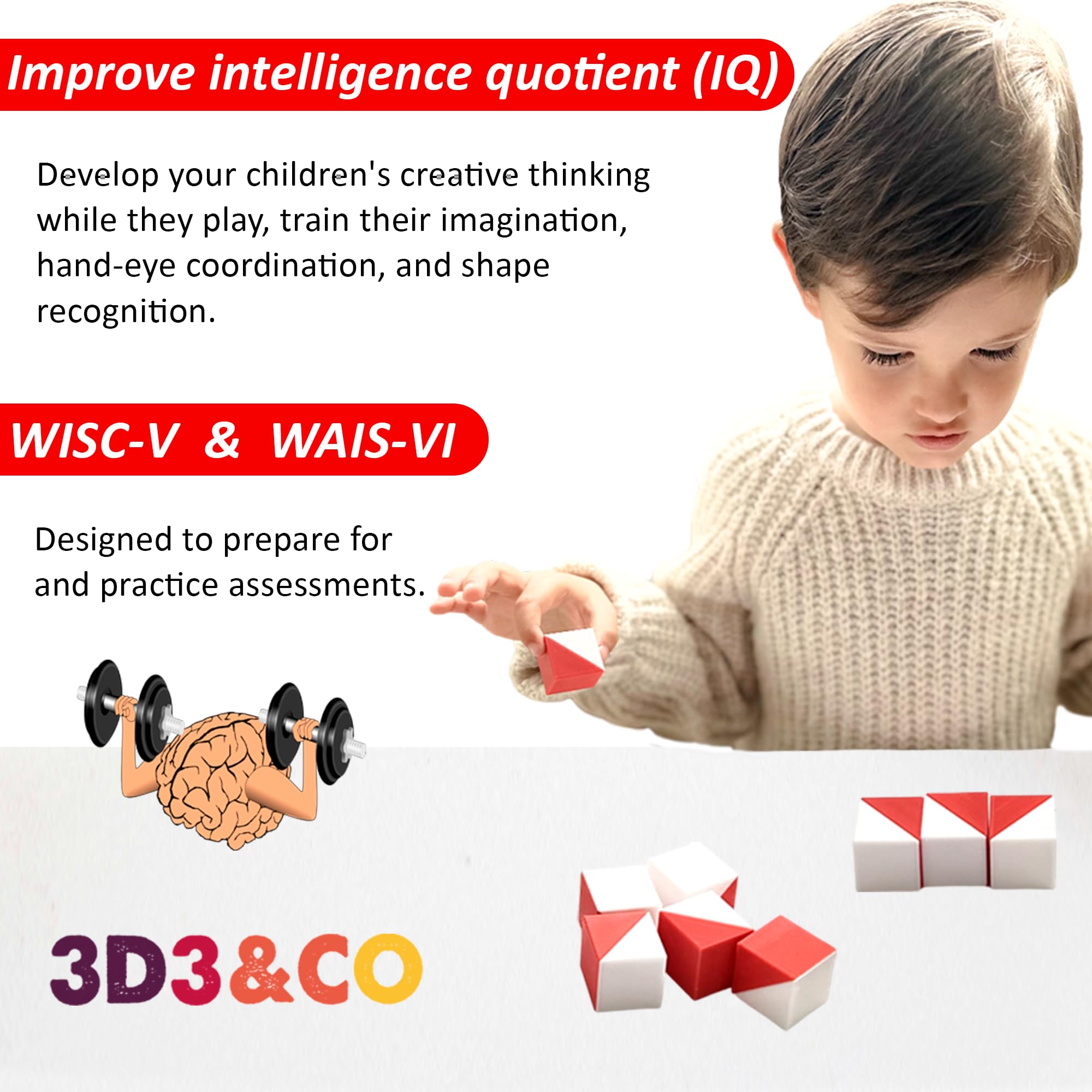 3D3 & CO - 9-Cube Kohs Brain Test Red and White, 1 Inch – 9 Kohs Cubes for IQ Tests and Assessments, IQ Puzzle with Pattern Blocks, WISC-V and WAIS