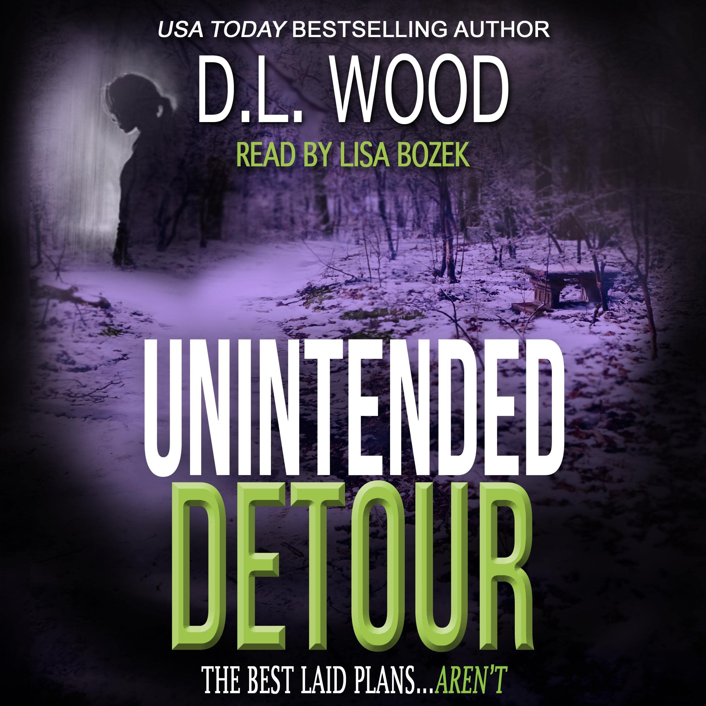 Unintended Detour: The Unintended Series, Book 3