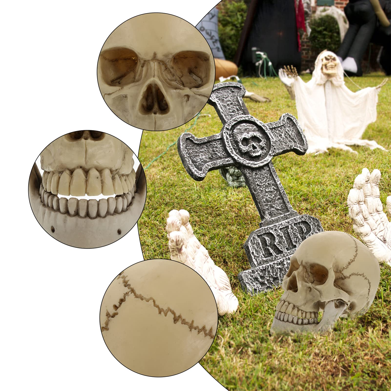 NUOBESTY Suministros De Halloween Figurilla Cráneo de Tama?o Natural 1 Cráneo Humano Modelo Cráneo de Resina 1: 1 Cráneo Humano Adulto Modelo Decoración de Halloween Maniquí