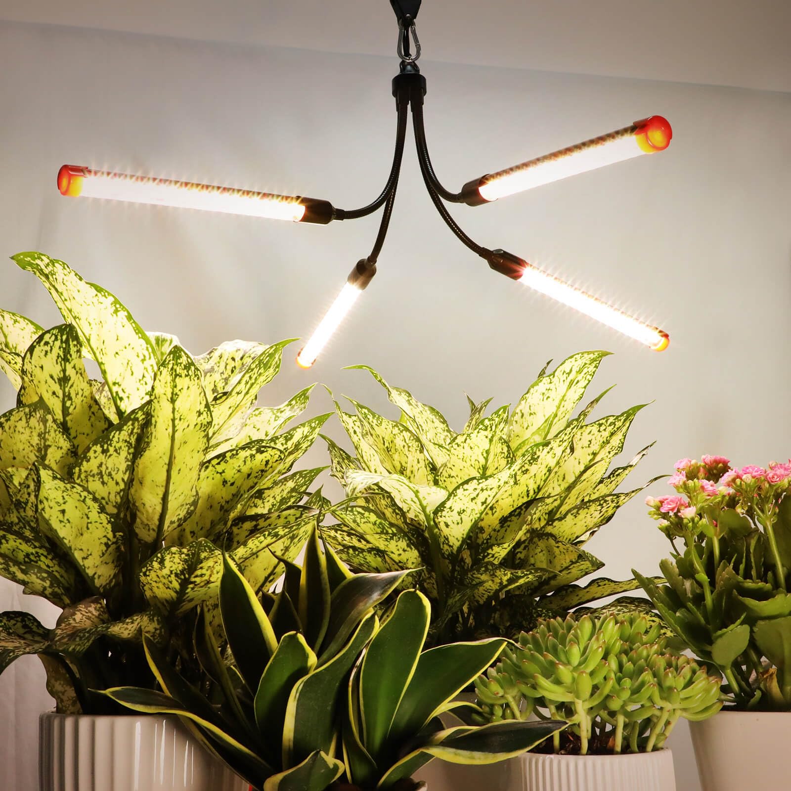 Hanging Grow Lights for Indoor Plants 36W, FRGROW Full Spectrum Grow Light 2x2 ft Coverage, Plant Growing Lamp for Houseplants, Seed Starting, Seedlings, Vegetables, Bonsai Tree