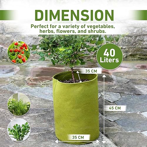 Miniatura 4 de Tierra Garden 50-VIG12 Haxnicks Vigoroot - Macetero para tomates/patatas