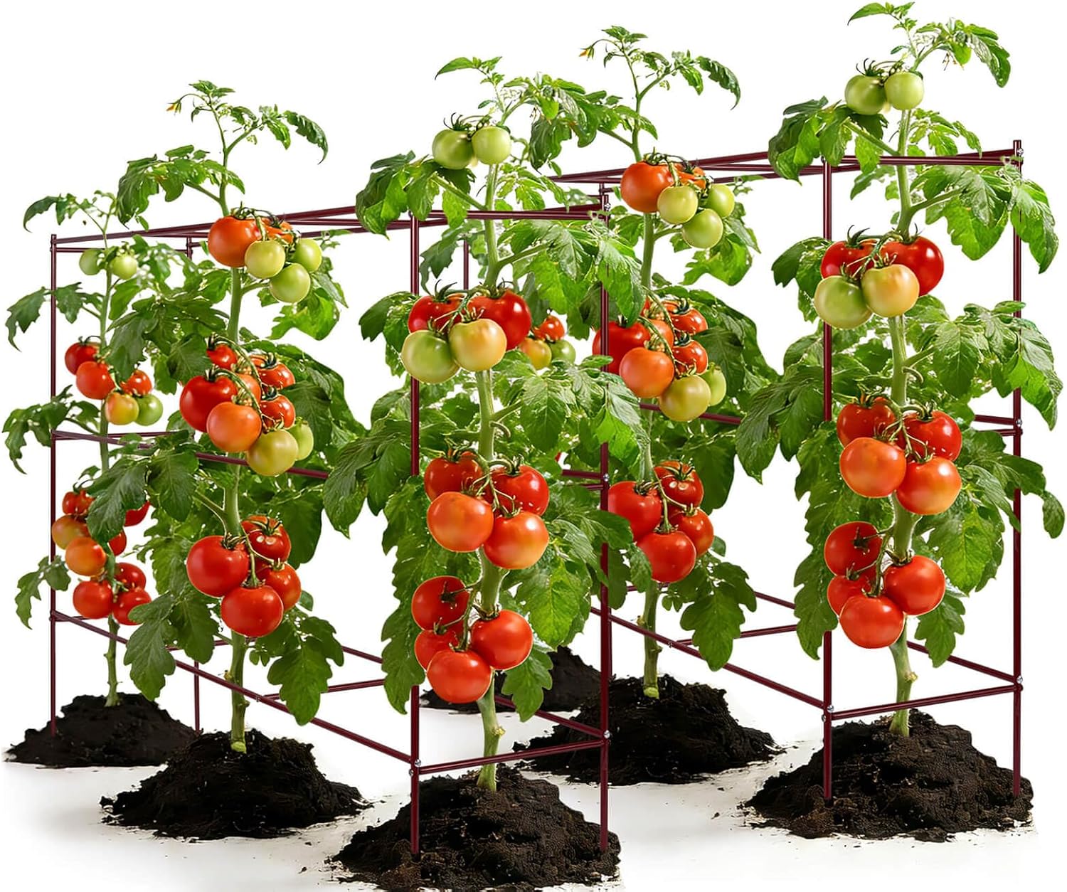 Tomato Cages – 55" H x 58" L x 14" W Row Tomato Trellis, 4-Tier Heavy-Duty Steel Support System for Indeterminate Tomatoes, Supports Up to 6 Plants Per Set