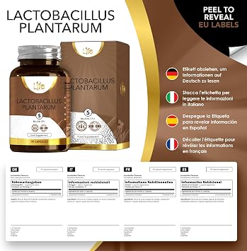 LN Lactobacillus Plantarum, 90 Capsules, 5 Billion CFU L-Plantarum