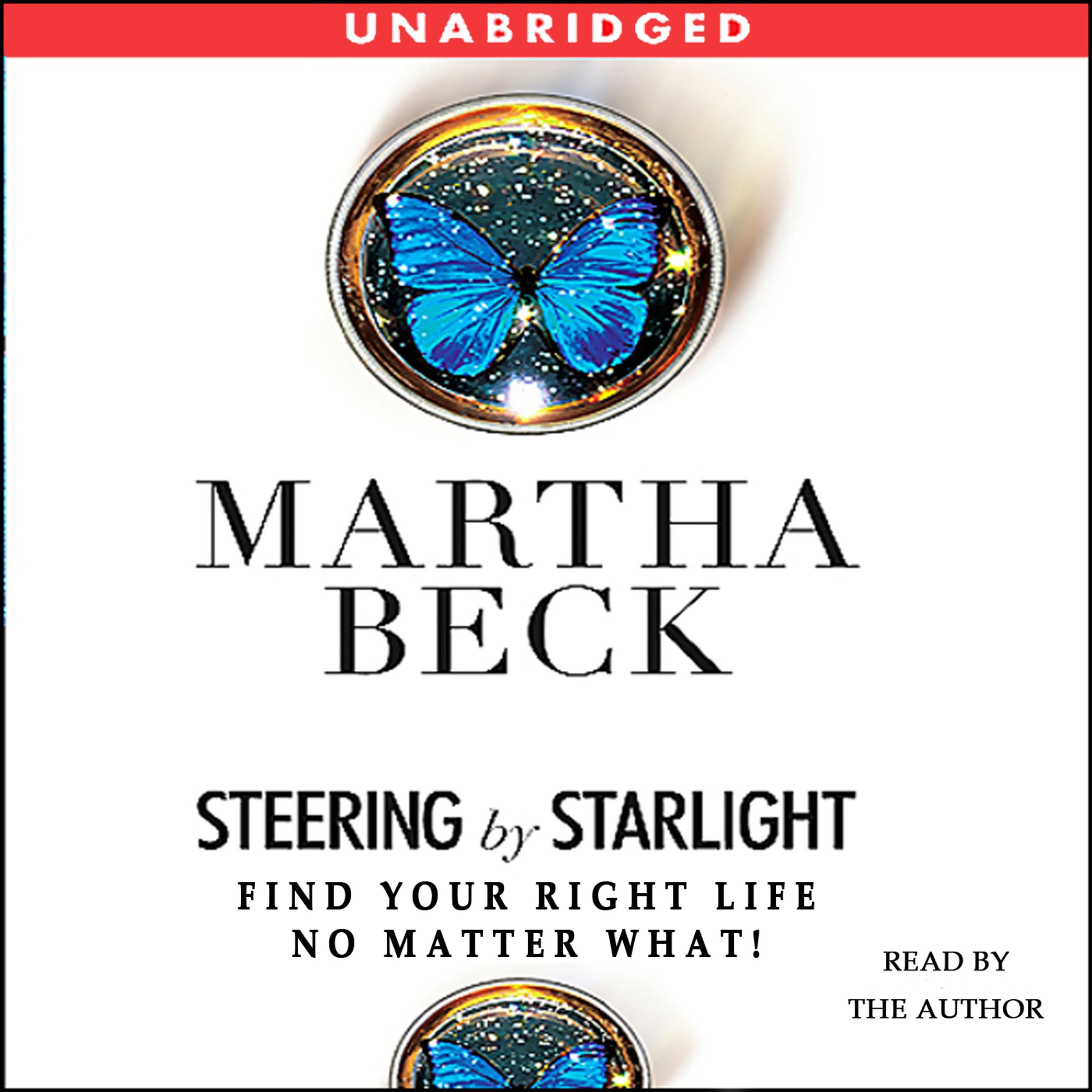 Cover art for Steering by Starlight