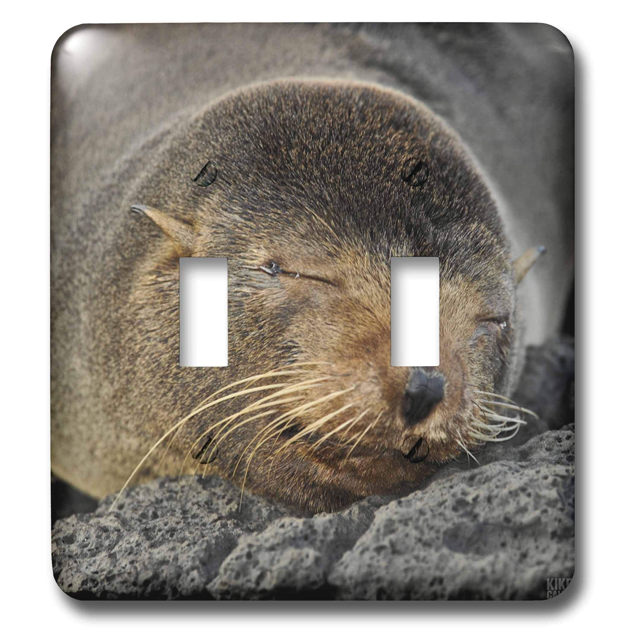 Interruptor doble Galápagos para sustituir placas viejas por diseño de lobo marino