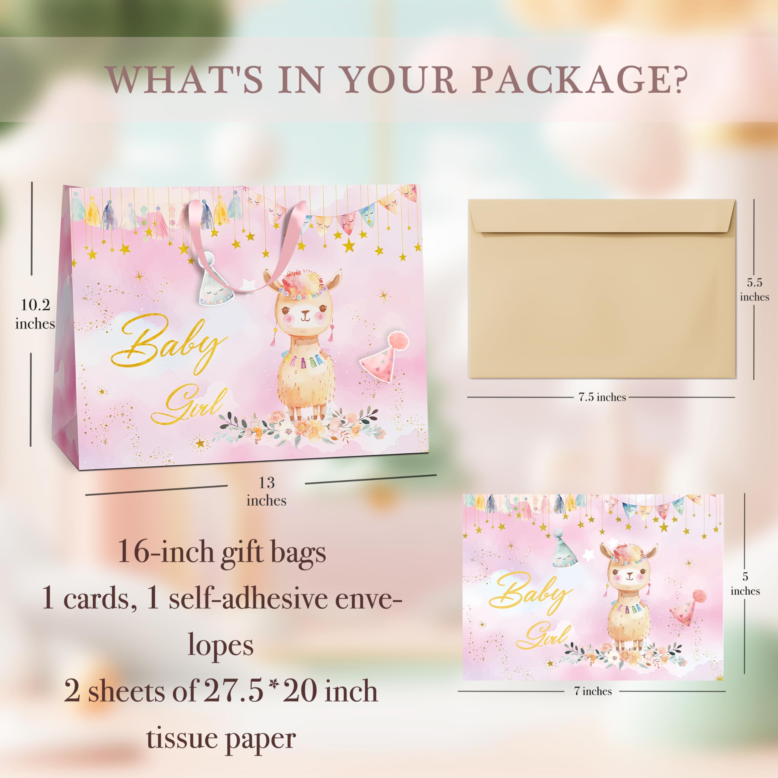 https://m.media-amazon.com/images/I/81B9ougf6fL.jpg