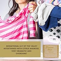 Vista 173 de Worldwide Nutrition Paquete: Tyler Candle Company Glamorous Wash Diva - Detergente líquido para ropa - Detergente para ropa Diva lavable a mano y a