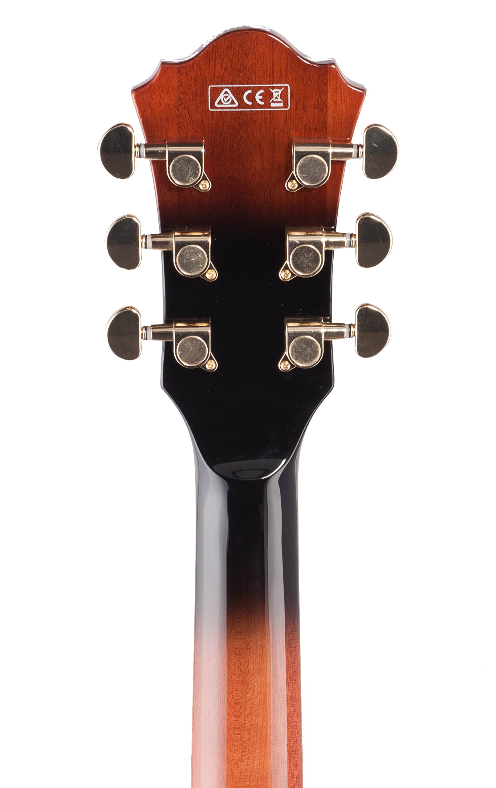 Amazon.com: Ibanez Artcore Expressionist AG95QA - Dark Brown