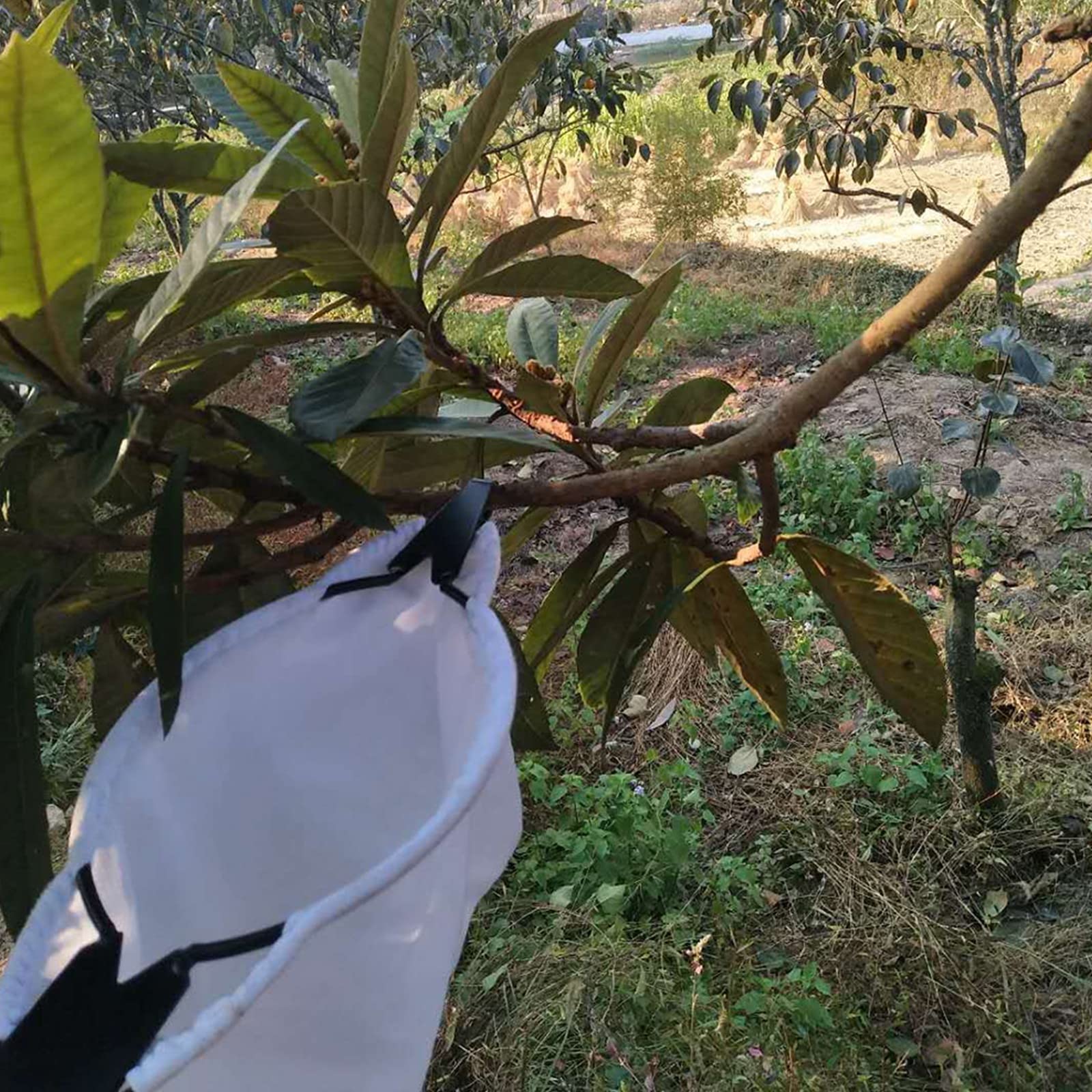 LekLai Testa per Raccoglitrice Di Frutta, Borsa Elastica per Cesto Di Raccolta, Strumenti per la Raccolta Di Frutta con 2 Lame a Forma Di V, Raccoglifrutta per Raccogliere Mele, Arance, Agrumi, Pere