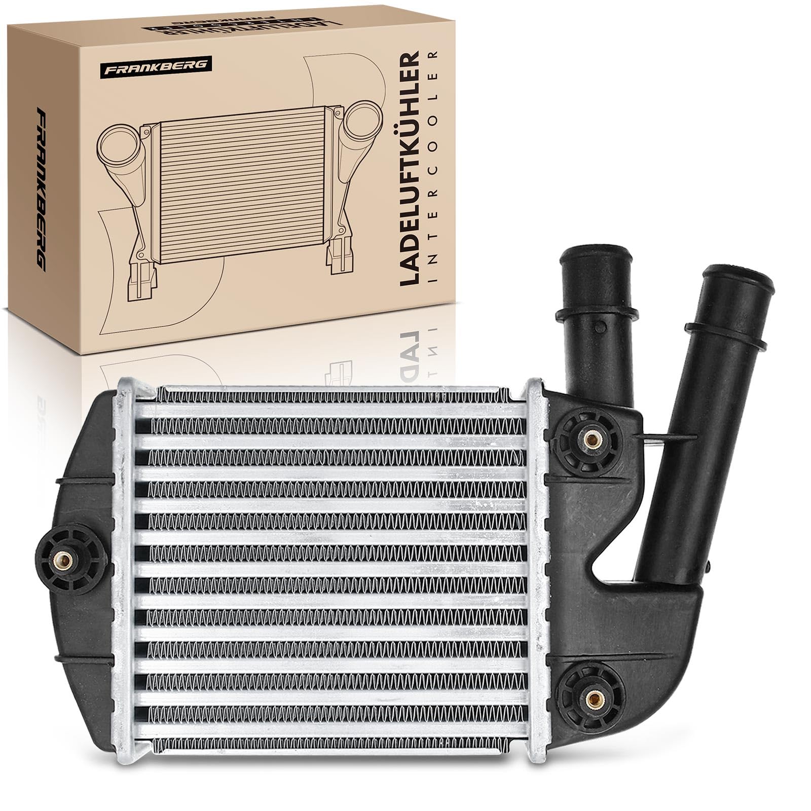 Frankberg Intercooler Compatibile con 169 1.3 D MultiJet Furgone/Compatto 169 1.3 D MultiJet 4x4 169 1.3 JTD MultiJet 4x4 Furgone/Compatto 169 1.3 D MultiJet 169 1.3 D MultiJet 4x4 96673,46823259