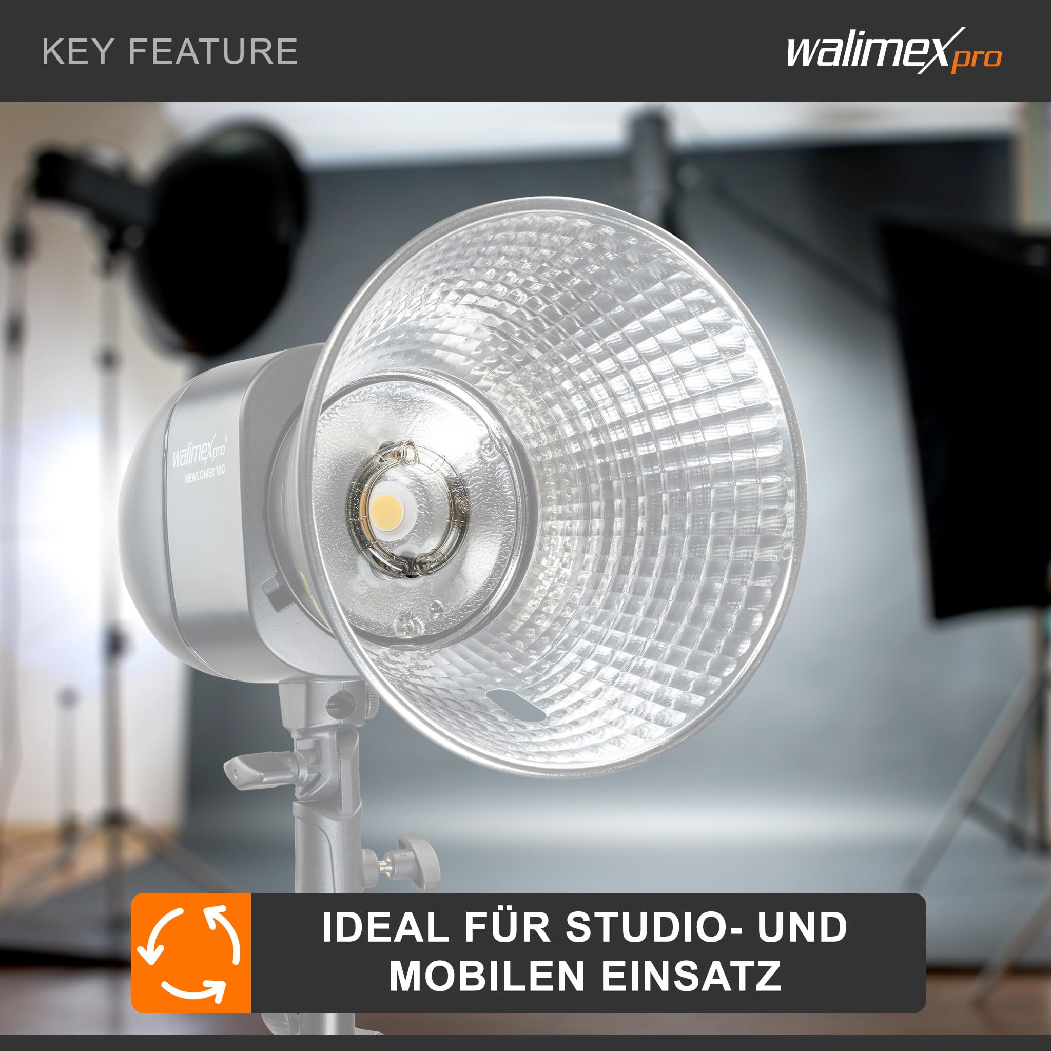 Walimex pro Ersatzblitzröhre für den Studioblitz Newcomer 100/150/200, VT-100/150/200, Leistungsaufnahme 100W, Farbtemperatur 5400-5800 K, Ersatz Blitz leicht zu wechseln